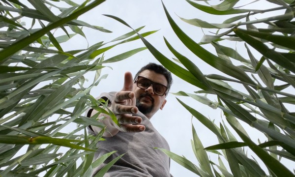 Madhav Subedi looking through plants.